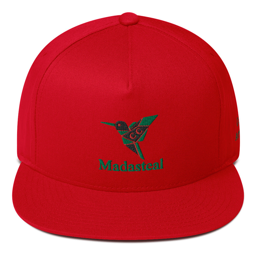 Casquette brodée Snapback Madadasteal