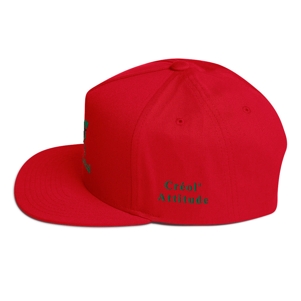 Casquette brodée Snapback Madadasteal