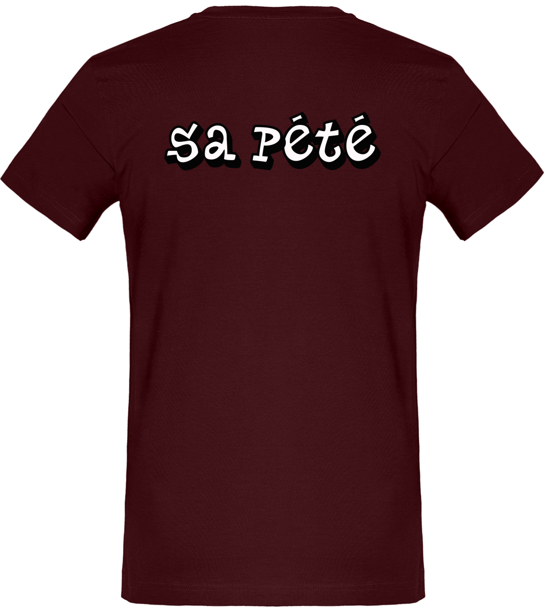 Tee-Shirt Frozen "Sa pété"