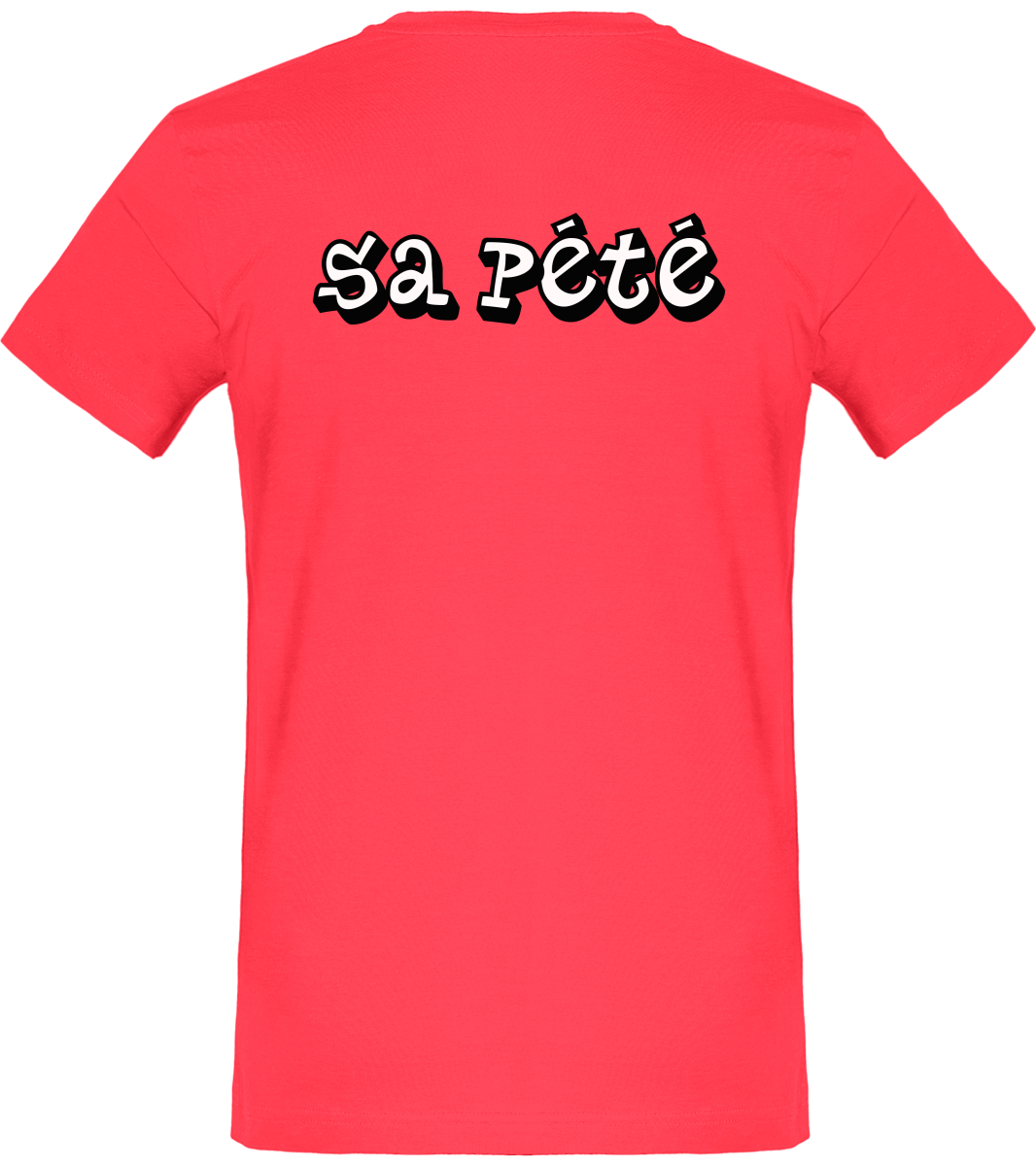 Tee-Shirt Frozen "Sa pété"