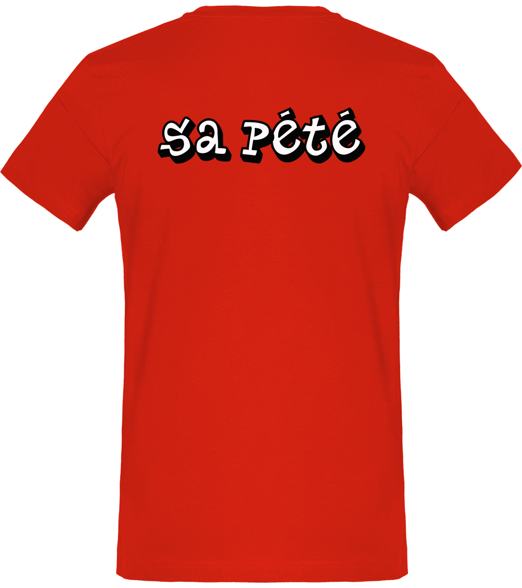 Tee-Shirt Frozen "Sa pété"