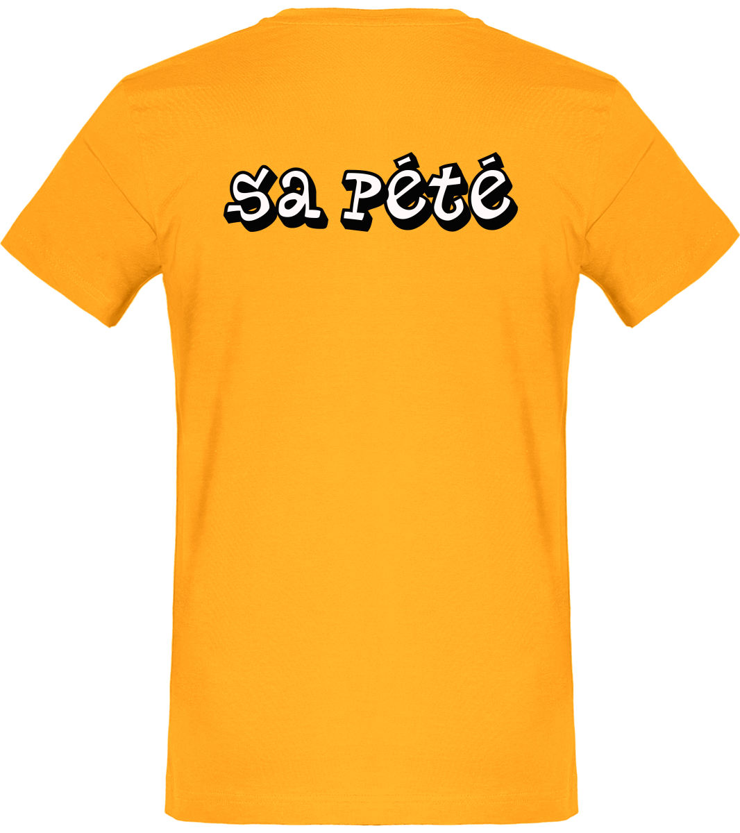 Tee-Shirt Frozen "Sa pété"